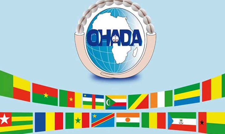 Organisation pour l’Harmonisation en Afrique du Droit des Affaires (OHADA)